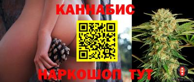 мдпв Обнинск