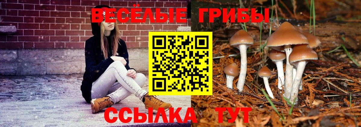 Псилоцибиновые грибы прущие грибы  Вход с VPN  Белово  Псилоцибиновые грибы Psilocybine cubensis 